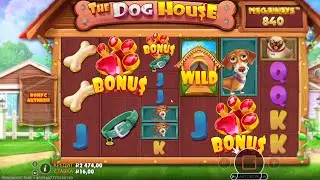 ЗАНЁС С 1000 РУБЛЕЙ В СОБАКАХ! ЛУЧШАЯ СЕССИЯ В DOG HOUSE + CLEOCATRA!