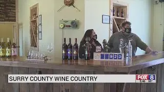 Surry County couple turns hobby into wine-making business