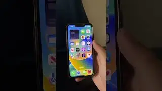 Cambia el color de tu iPhone 📲
