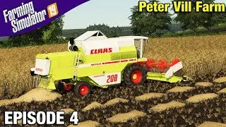 CLAAS MEGA IN BARLEY Farming Simulator 19 Timelapse - Peter Vill Farm FS19 Episode 4