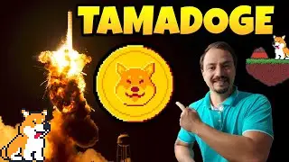 Tamadoge HUGE ANNOUNCEMENTS - How to claim the tokens?
