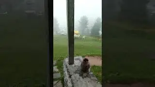 Thandiani Top 🌧️🌧️ #thandiani #shorts #rain #viral #youtubeshorts