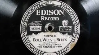 BOLL WEEVIL BLUES by The Arkansas Trio on Edison Diamond Disc 1924