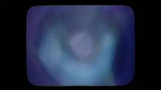 reedbeds / reverie sheep (Video)