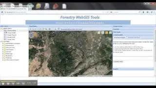 Web GIS application with forestry spatial processes integration