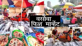 मुंबई का सब से सस्ता वर्सोवा मछली बाजार |Versova Fish Market | Wholesale Fish Market Mumbai 2021