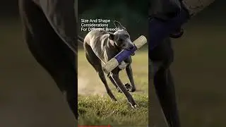 Size And Shape Considerations For Different Breeds