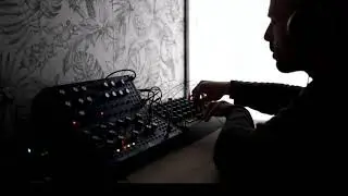 Moog, dfam, mother 32,  soma pulsar 23 - 1