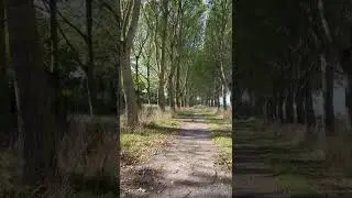 The Netherlands