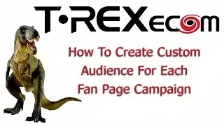 How To Create Custom Audience For Each Fan Page Campaign
