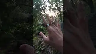 #8бхава это не только смерть, мрак и ужас...  #Тантра #Джйотиш #Мистика