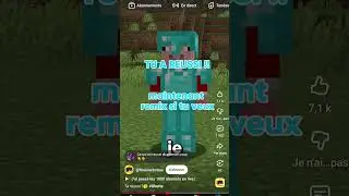 j'ai r&eacute;ussi