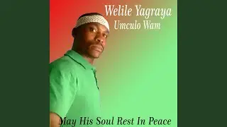 Welile- Amaziyoni Egida