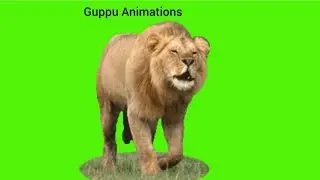 Green Screen Animation Lion Walking Running || Lion Green Screen Animation || @bestgreenscreen