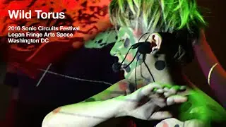 WILD TORUS: dc sonic circuits festival 2016