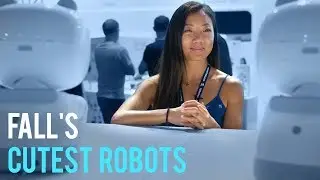 Fall's cutest robots @ IFA 2018