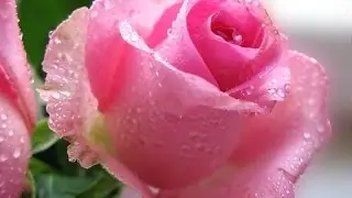 ♥♫Frederic Delarue - Dream Within A Dream ♥♫