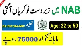 National Accountability Bureau NAB Jobs June 2020