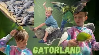 GatorLand and other animal stories