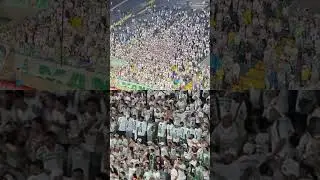 TORCEDORES DO PALMEIRAS PEDEM SA&Iacute;DA DO DIRETOR DE FUTEBOL ANDERSON BARROS