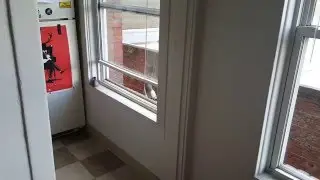 Pigeon Encounters First Contact