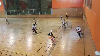 Match Roller Hockey LIONS (Auxerre) - FLASHS (Chalons) 29-10-2017