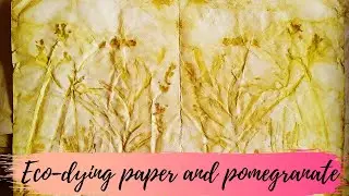 ECO-DYING PAPER and pomegranate: process video