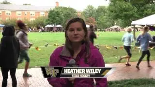 2015 Hit the Bricks - Heather Wiley