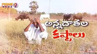 Does Andhra Pradesh hit by Severe Drought Conditions | Special Focus | Prime9 News