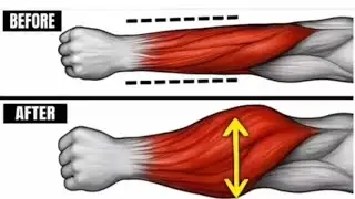 6 Best Forearm Exercises to Build Strong Wrists at Home