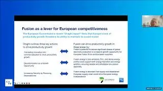 Towards a Fusion Energy Industrial Strategy for Europe