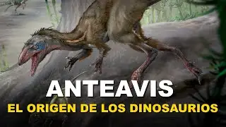 ANTEAVIS: El origen de los Dinosaurios carnívoros - Nota al Dr. Martín Ezcurra