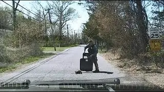 How This Police Officer Used Shield To Help Turtle Cross The Road