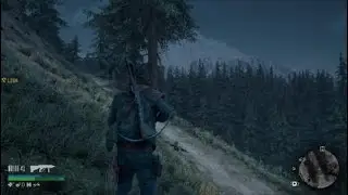 DAYS GONE Proxy Falls Horde