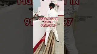 Pigeon Net in Patna, Bihar, India , Bird Net service near me