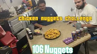 100 Chicken Nuggets Challenge!