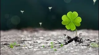 Giao lưu và trò chuyện