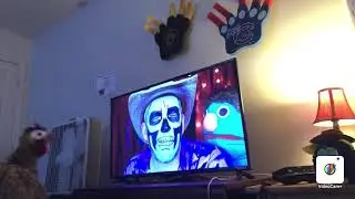 Chester Chicken reacts to Interview with The Dead Skeleton Show