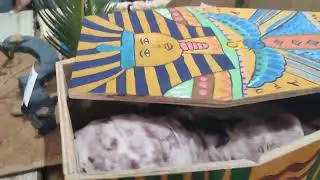 Egyptian Piramid exhibition at Don Bosco school Gumla / exhibition Idea at school 