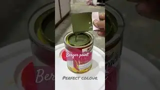 Enamel shade green 🟢🔻🔺 berger paint #bergerpaints #wallputtykaisekare #bergerpaint #funny #pubg