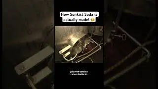 How Sunkist Soda is actually made! 😳 #sunkist #sunkiss #orangesoda