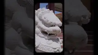 Shan Xiang Yun Temple Vol.1 #austinvideographer #connectcreateinspire #cinematography #temple