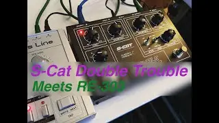 Din Sync RE-303 and S-Cat Audio Double Trouble