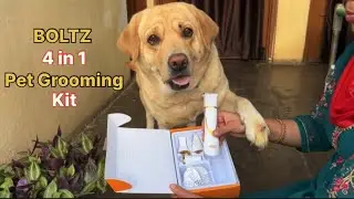 BOLTZ 4 in 1 pet grooming kit unboxing 😻 || labra rubi || #youtube #video #labrador #dog #unboxing 