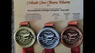 Чемпион по рецессивным белым на национальном чемпионате Испании.