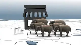 Elephant poaching: 100,000 African elephants were killed within 3 years for ivory