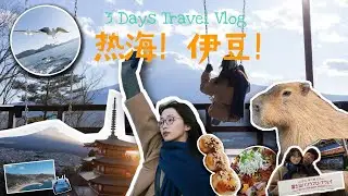 日本游记｜3天2晚热海伊豆怎么玩？看着一篇就够了！看富士山不一定要去河口湖，看卡皮吧啦一定要去伊豆仙人掌公园！