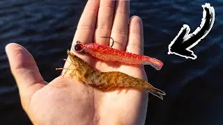 Live Shrimp VS Gulp Shrimp - Tampa Bay Inshore Slam