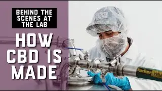 HOW CBD IS MADE: Behind the Scenes at the Lab