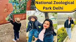 National Zoological Park Delhi 🦁 🐘🦍🐒🐯 | Delhi Zoo | दिल्ली का चिड़ियाघर । Delhi zoo full tour 